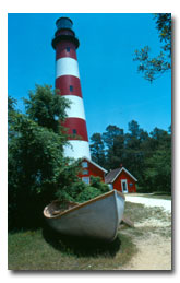 The Assateague Lighthouse