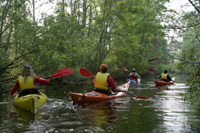 kayakers on the Back Bay National Wildlife Refuge