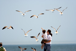 Mother and son looking at seagulls on the Eastern Shore of Virginia