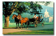 horse and carriage on road in front of The Homestead